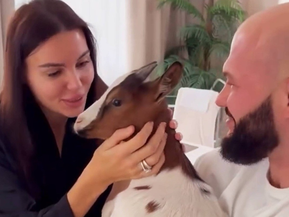 «Использовали для хайпа и выбросили»: Самойлову и Джигана обвинили в смерти козы Мими